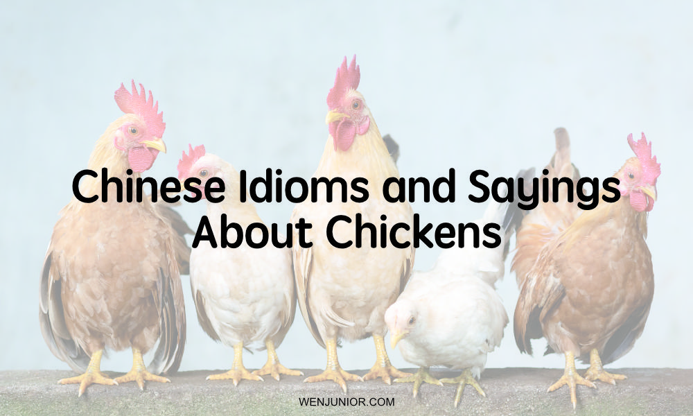 Chinese Idioms and Sayings about Chickens
